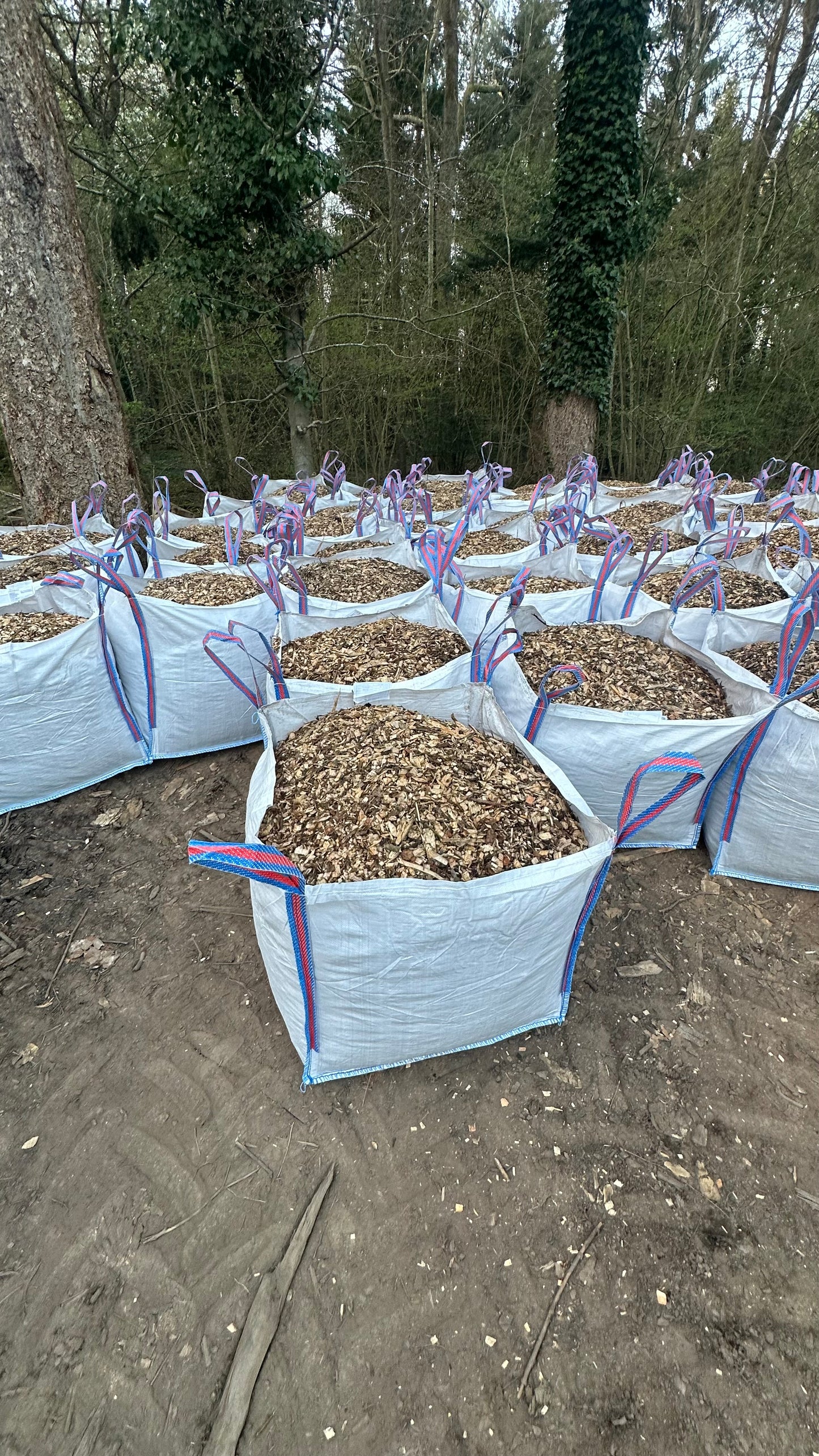900/1000L bag of hardwood woodchip