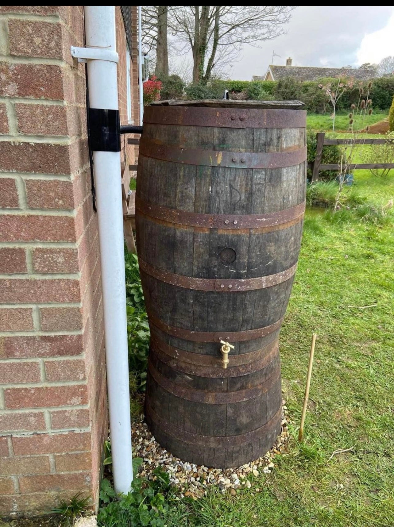 200L Oak Whiskey Barrel Water Butt Kit