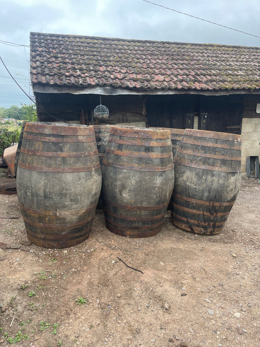 XL 500L whole oak barrel