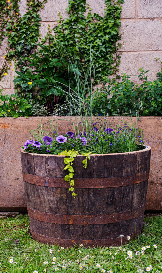 10 x Oak Half Whiskey Barrel Planter/Pond
