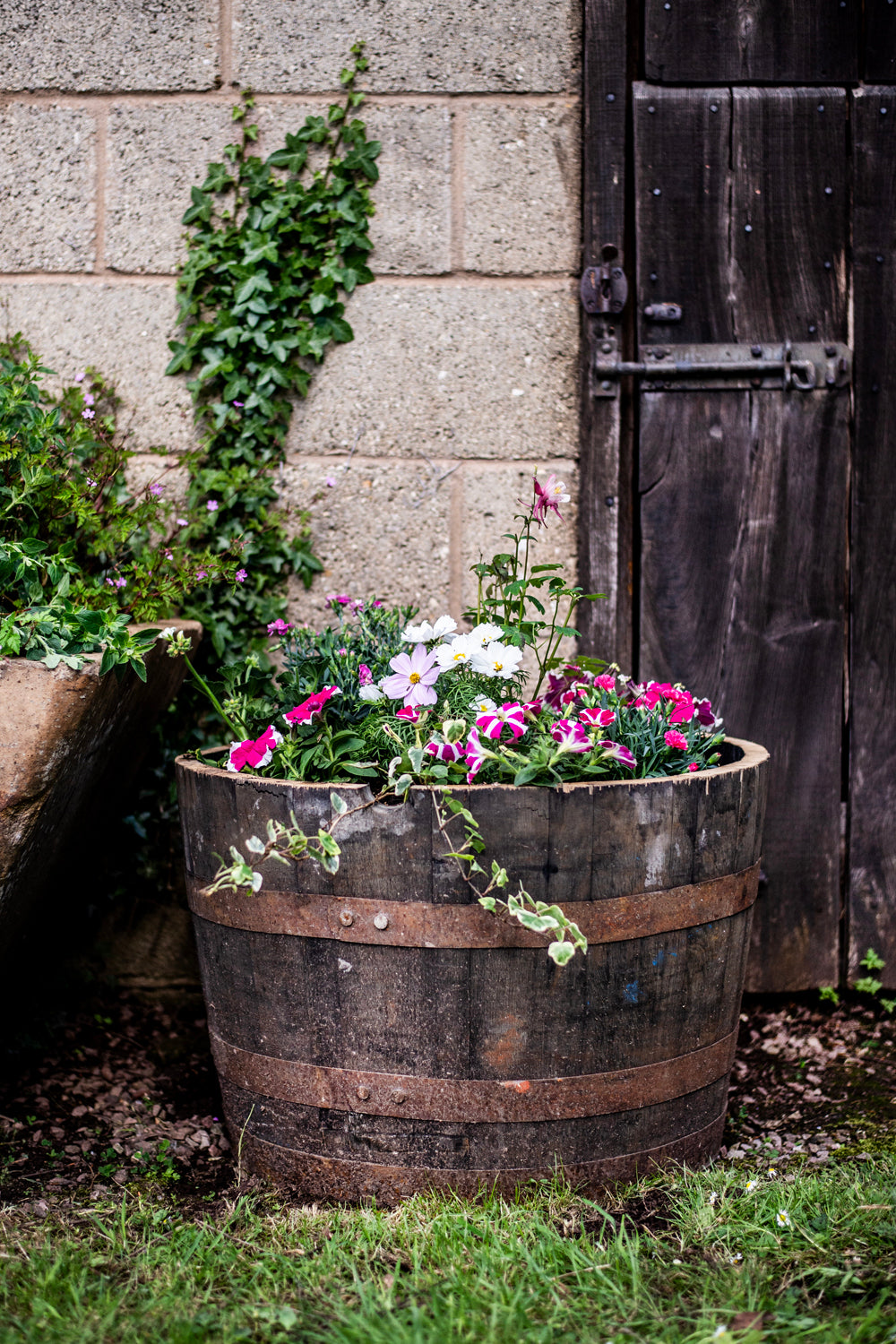 10 x Oak Half Whiskey Barrel Planter/Pond